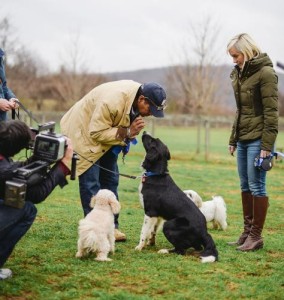 Bryant and Hilary Gumbel being filmed for Jill Rappaport's Best in Shelter at Main Line Animal Rescue. The program airs Saturday February 21, 2015 (7:00 pm EST). (PRNewsFoto/Main Line Animal Rescue)