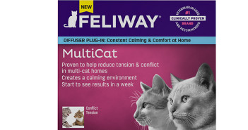 Ceva Introduces Feliway® MultiCat pheromone to reduce tension and conflict in multi-cat households