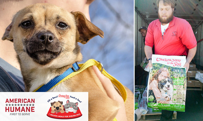american humane and chicken soup for the soul pet food