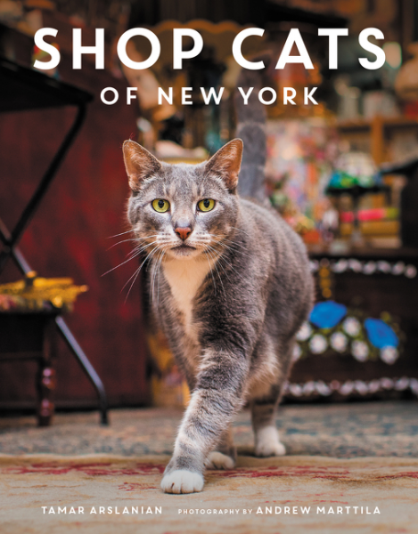 shop cats of new york cat writers association cwa