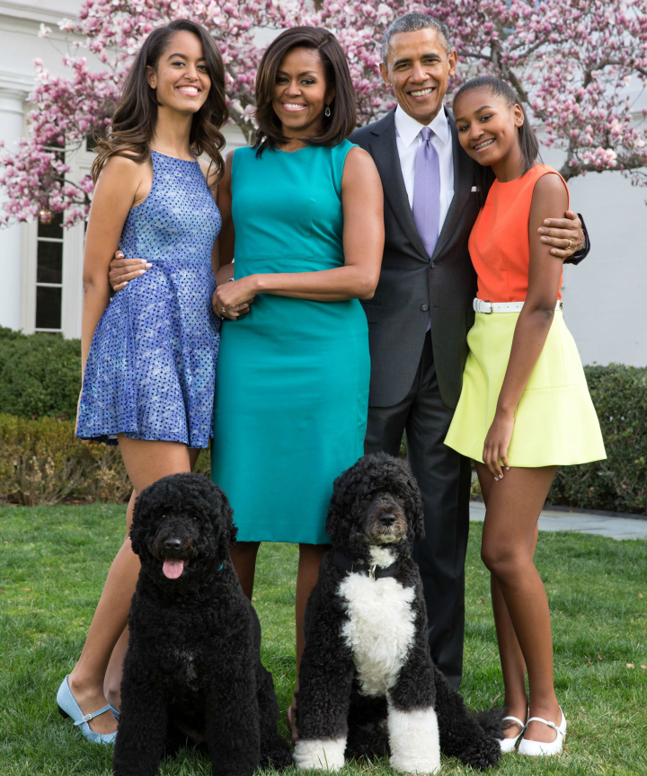 presidential pets checkers day dogs in politics day obama