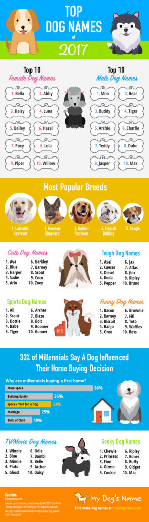 top dog names 2017