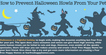 How To Help Pets Have A Spooktacular Halloween