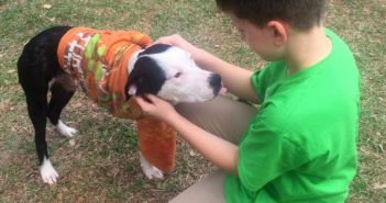 The Dog Writers Association of America Announces Junior Writer Award Winners Jayson Kimberly with Shelter Pup