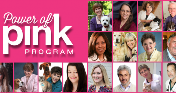 The Germinder20 Power of Pink Celebration Concludes at VMX2019 Power of Pink Home Image