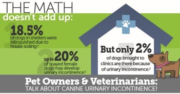 PRN Pharmacal Launches Canine Urinary Health Website