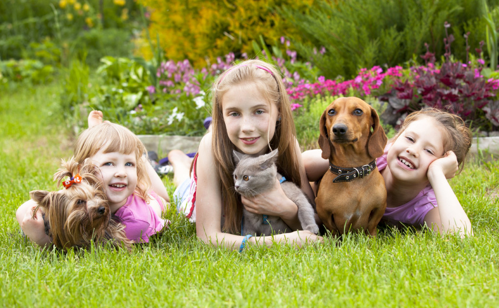 Children and their Pets