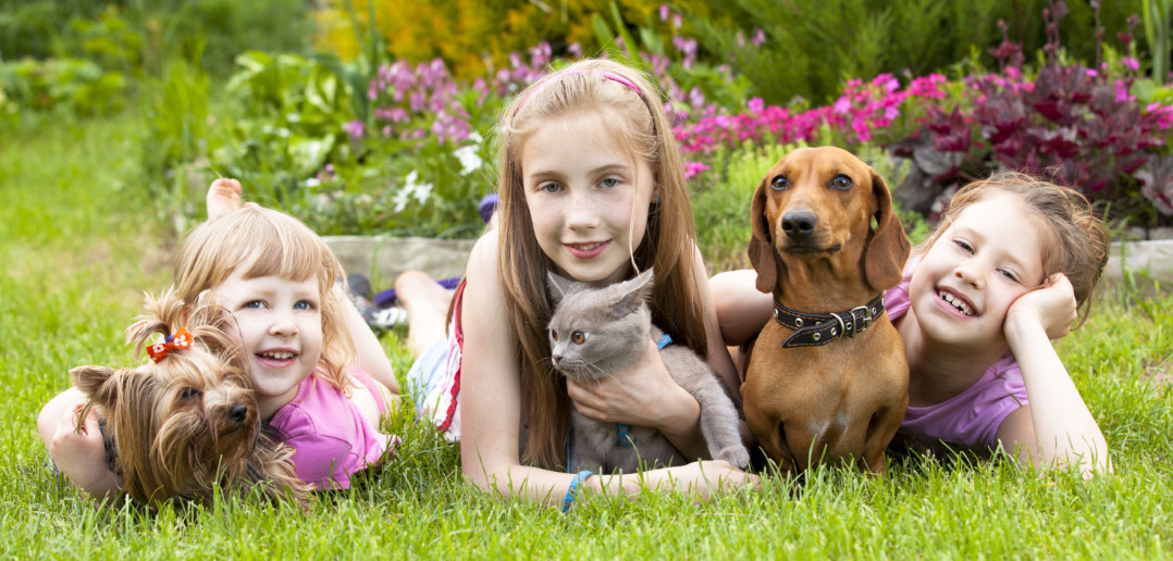 Spring Tips from AVMA: Preventative Care and Wellness Visits for Our Pets