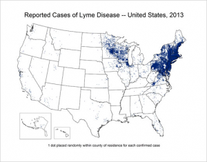 Lyme Disease map