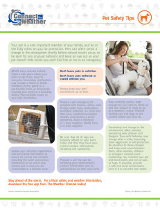 pet safety sheet