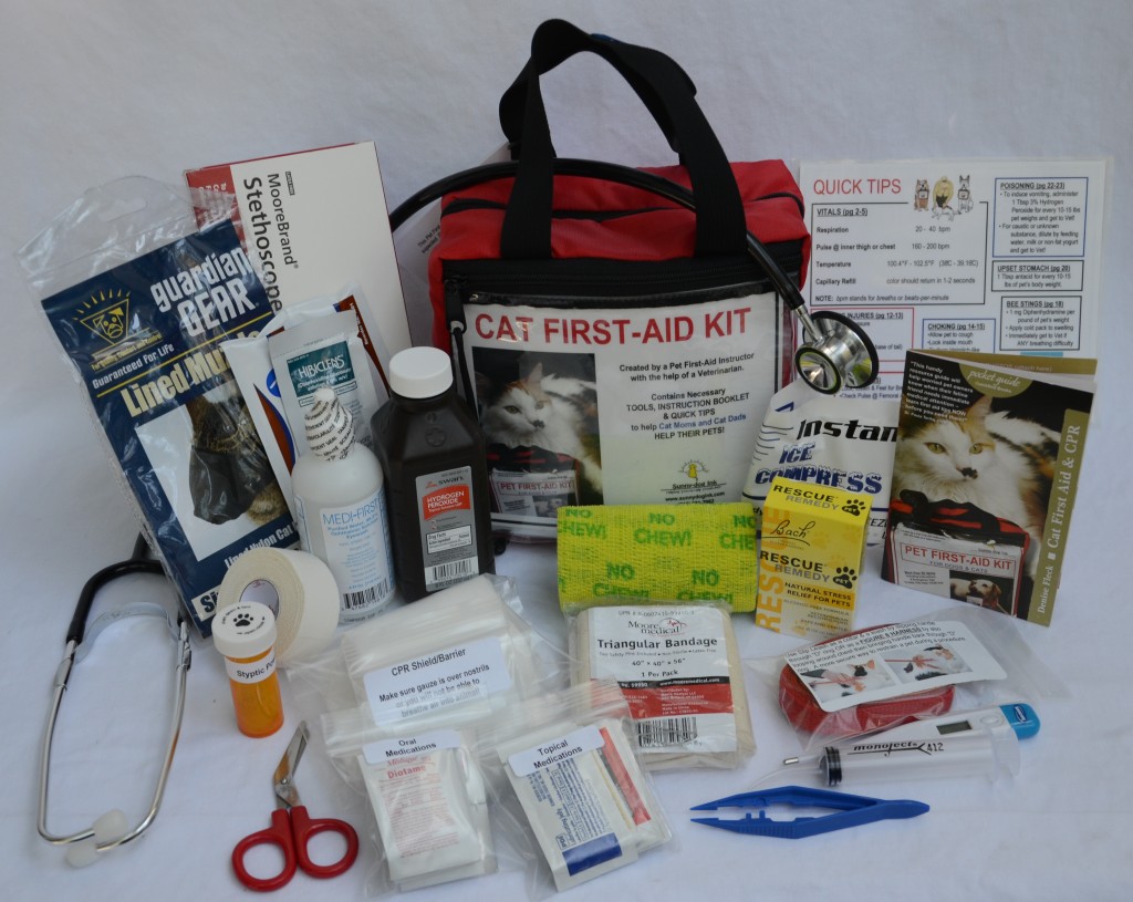 The Ultimate Home Cat First-Aid Kit
