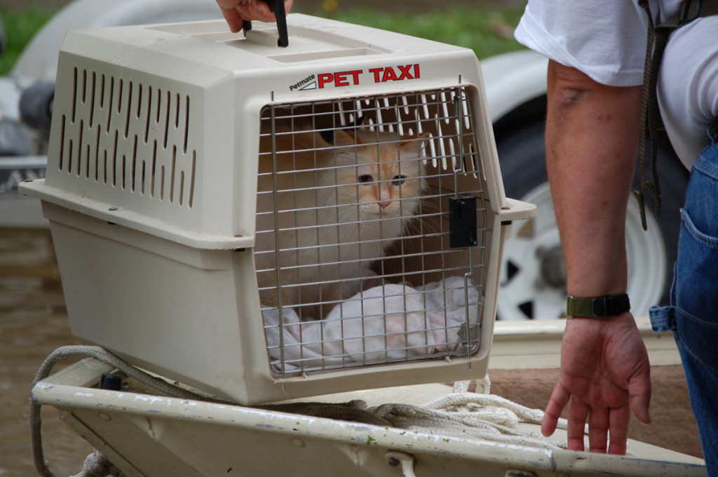 pet carrier