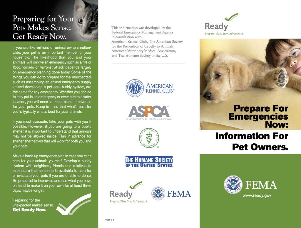 fema pet brochure