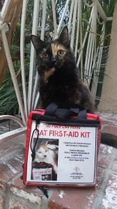 Mishie and her first aid kit.