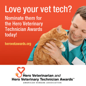 HeroVetAwards-VetTechwidgit