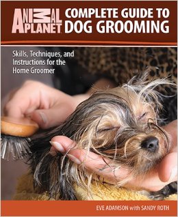 Complete Guide To Dog Grooming   Complete Guide To Dog Grooming 