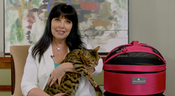 Sandy Robins, pet expert and author of "The Original Cat Bible," hosts the new "Taking a Cat to the Veterinarian" video.