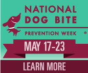 dog bite prevention