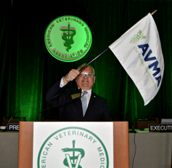 avma president