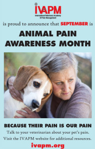 IVAPM Animal Pet Awareness Month