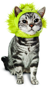 Cat Modeling Dr. Seuss Grinch Headpiece for Cats
