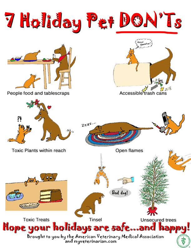 7 Holiday Pet Dont's