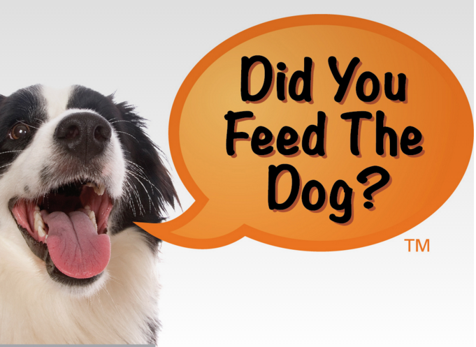 Did You Feed the Dog 