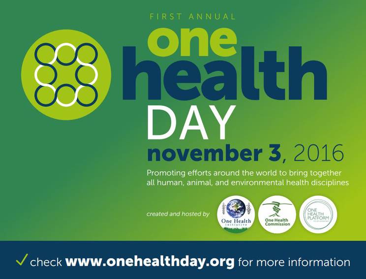 one health day