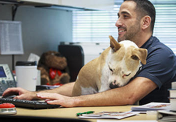 take your dog to work day