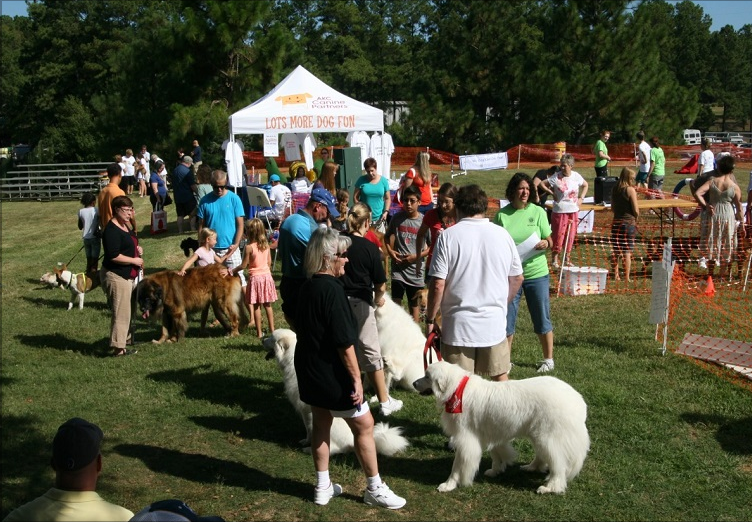 akc responsible dog ownership day