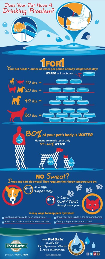 pet hydration