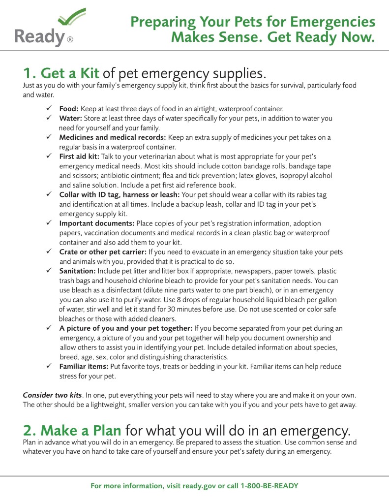 national preparedness month