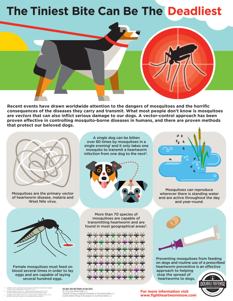 double defense avma infographic mosquito