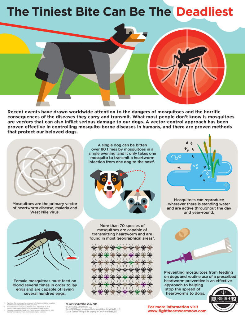 double defense avma infographic