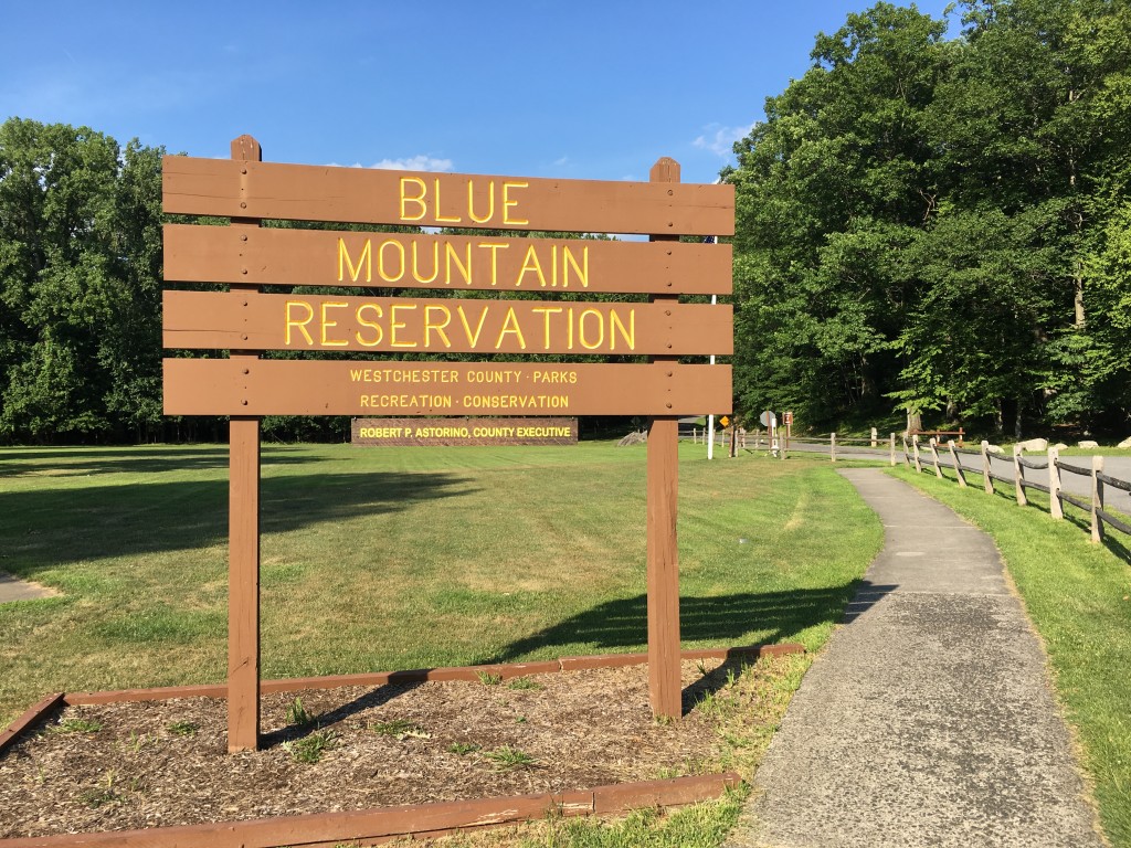 Mutts on the Mountain will take place at Blue Mountain Reservation in Peekskill.
