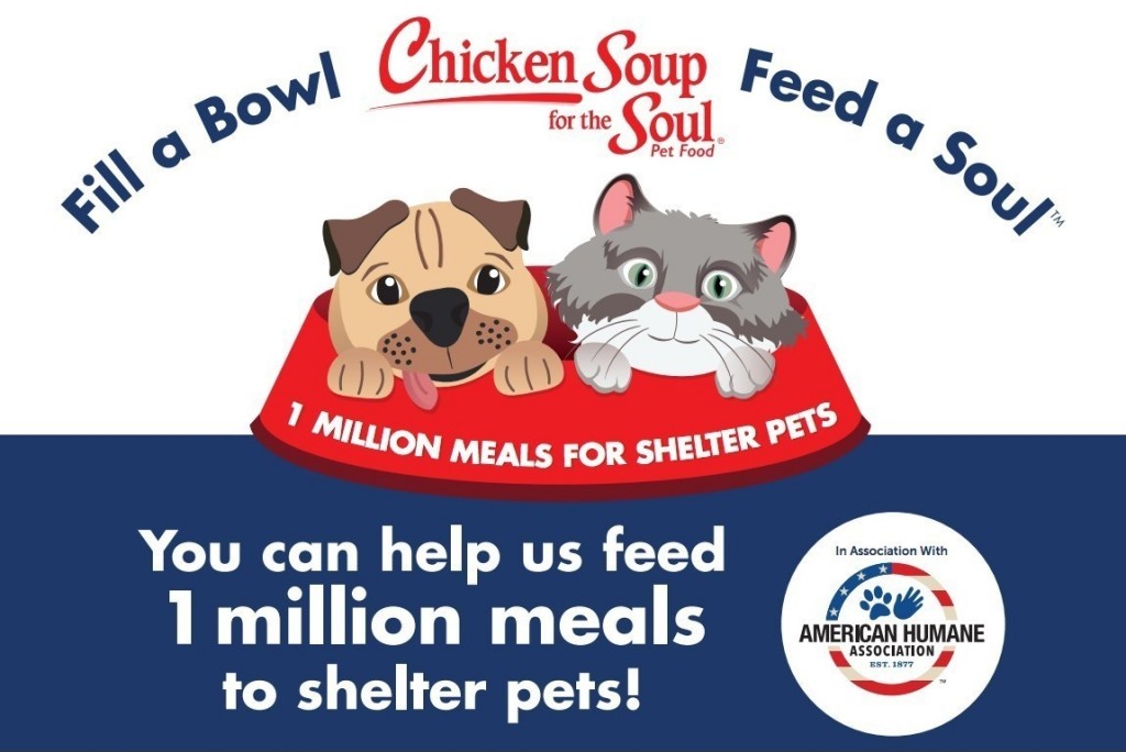 american humane association shelter pets chicken soup for the soul