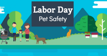 labor day pet safety
