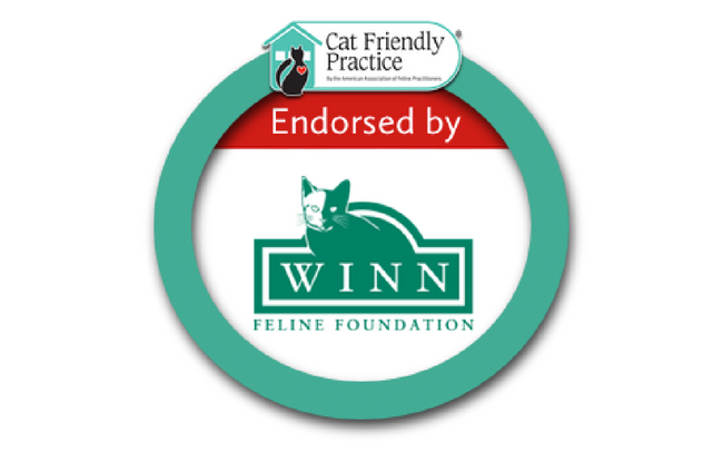 Winn endorses AAFP CFP