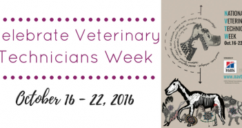 veterinary technicians week