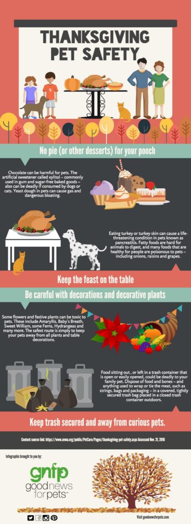 thanksgiving pet safety