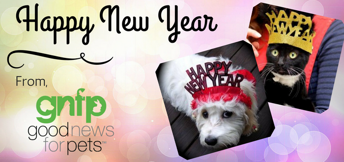 happy new year pet safety