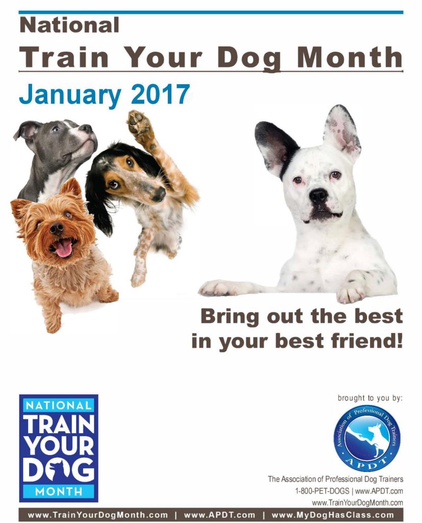 train your dog month