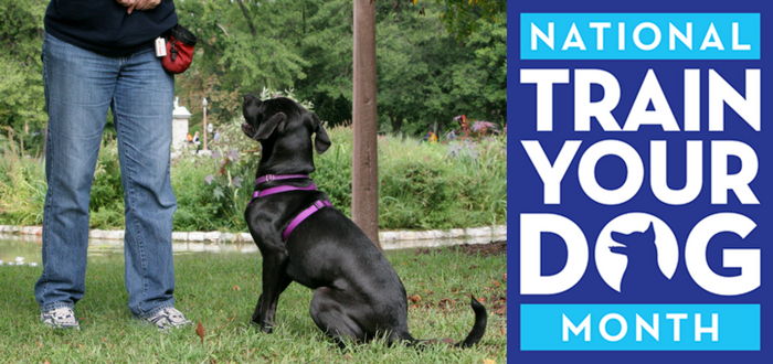 national train your dog month