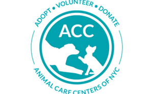 acc of nyc animal care center