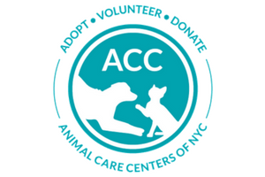 acc of nyc animal care center