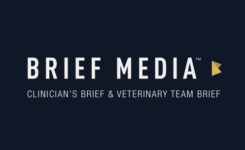 brief media new york VET