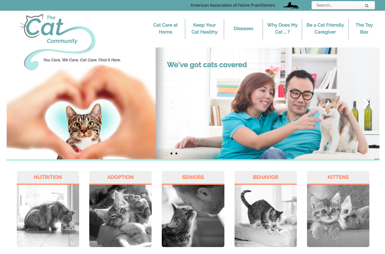 New Educational Website Helps Cat Caregivers Be the Best They Can Be