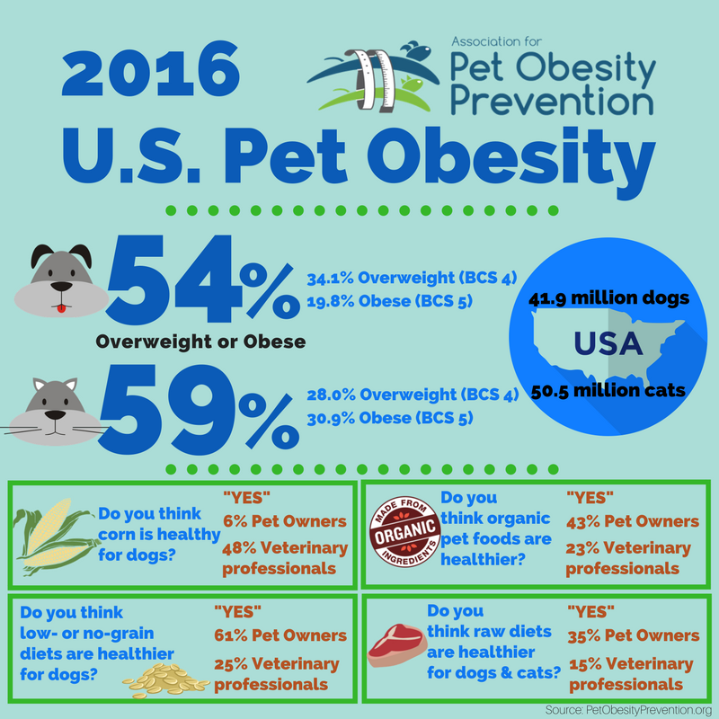 association for pet obesity prevention