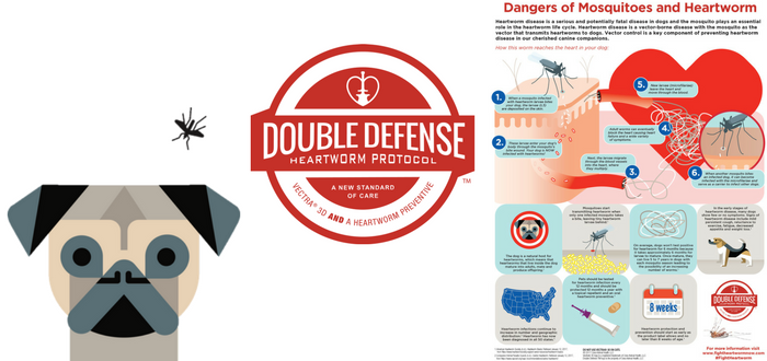 double defense heartworm