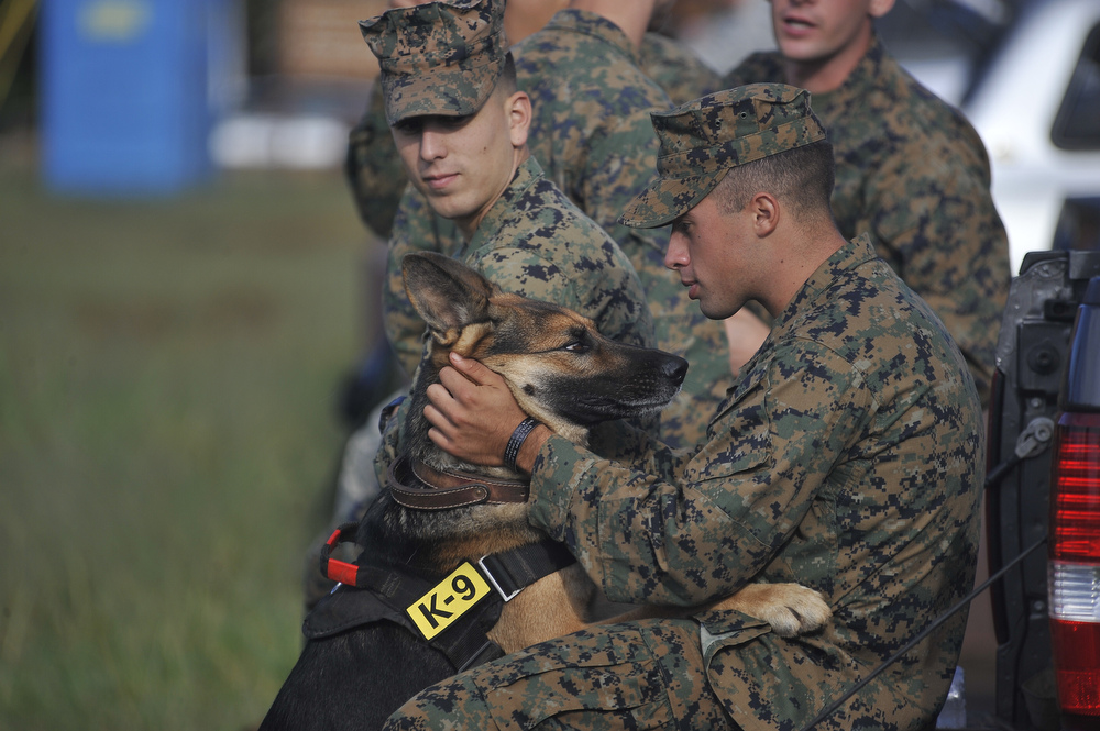 k9 veterans